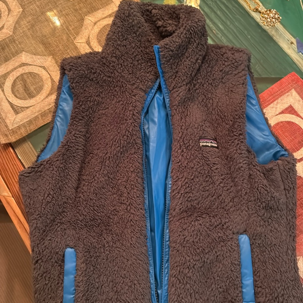 Patagonia vest